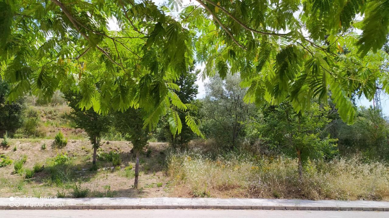 Casa Rural El Cerrete 2 Riópar エクステリア 写真